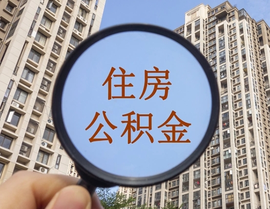 永安退休后查不到公积金明细了吗（退休后公积金查询不到原因）